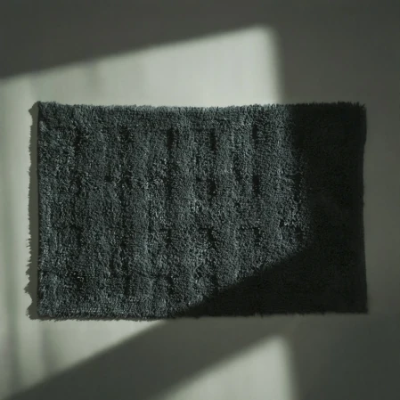 Karin Banyo Paspası Siyah 