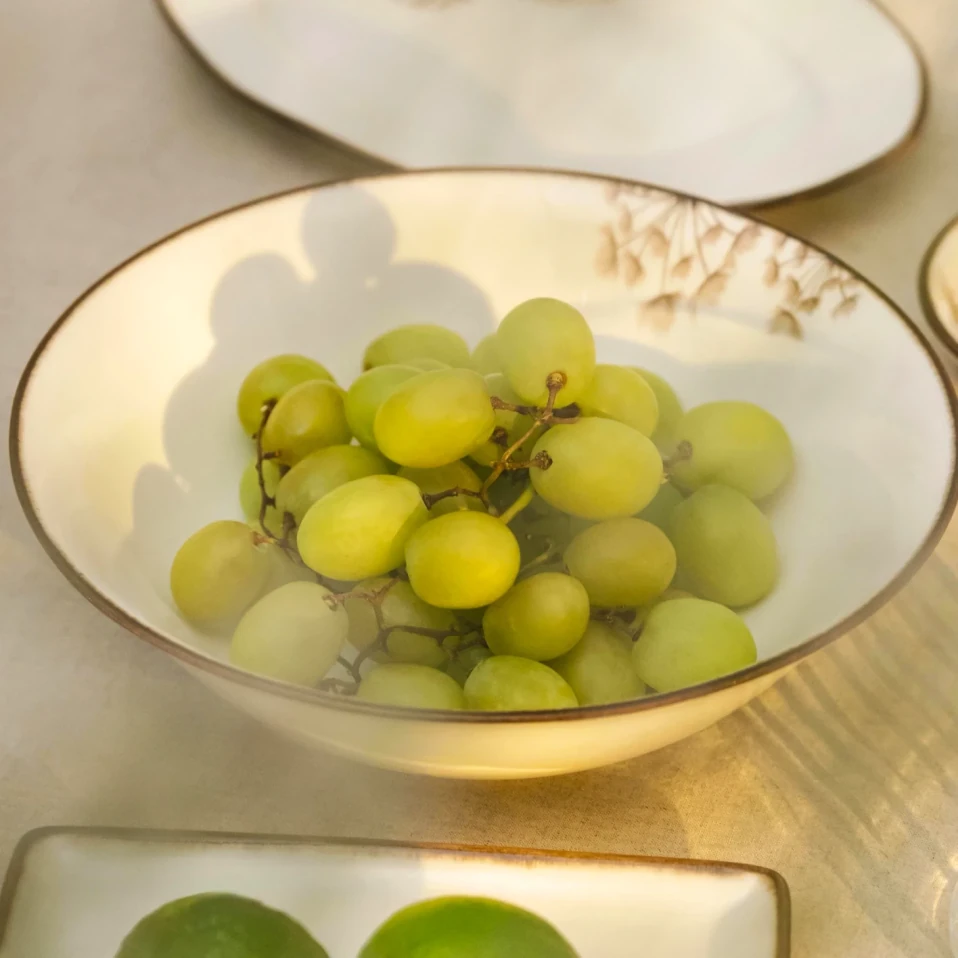 Nash Desenli Salata Kasesi 25 cm - 2