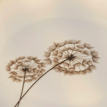 Nash Desenli Servis Tabağı 27 cm - 3