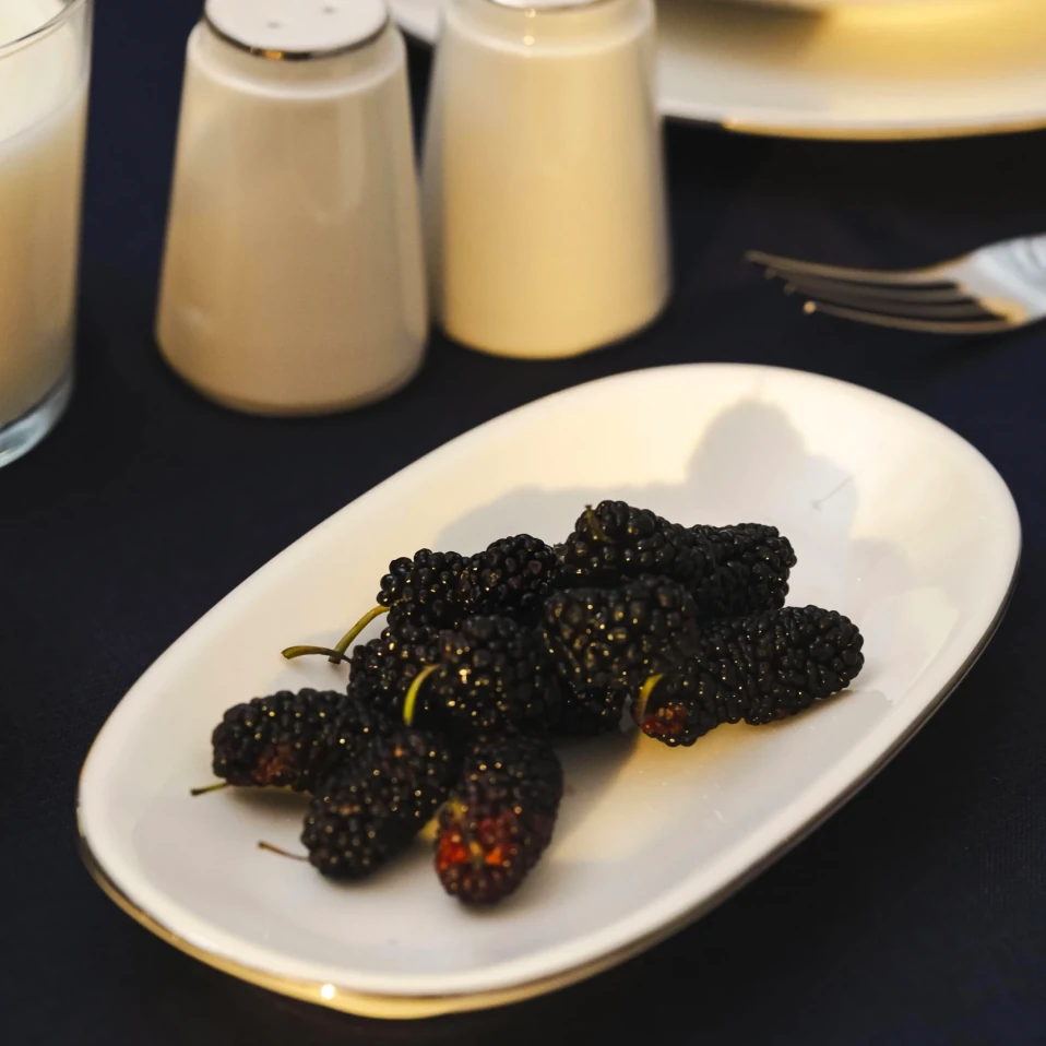 Elias Platin Kayık Tabak 19x11 cm - 2